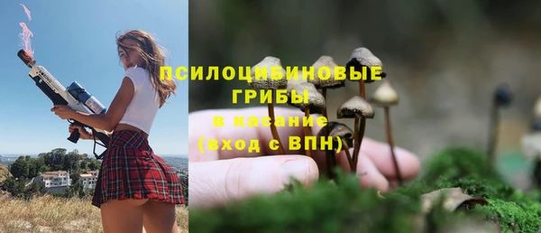 гидропоника Горно-Алтайск