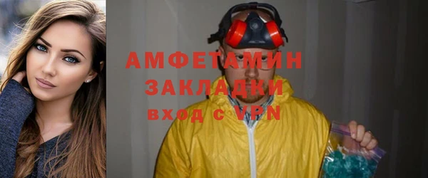 твердый Горняк