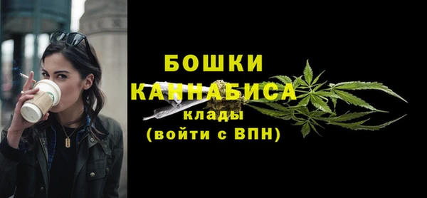тгк Горнозаводск