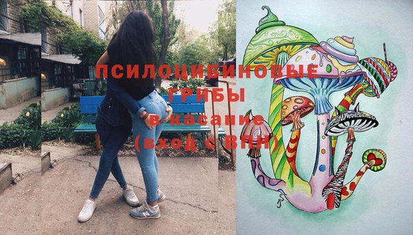 СК Кодинск