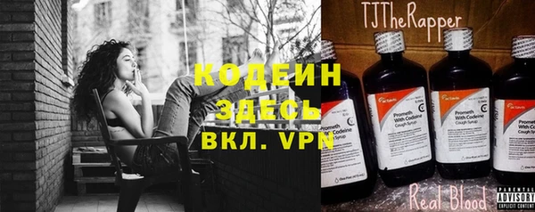 твердый Горняк