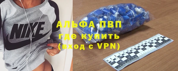 стаф Кинешма