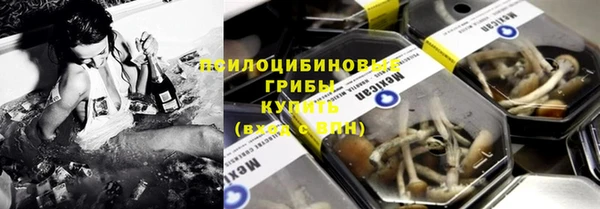 тгк Горнозаводск